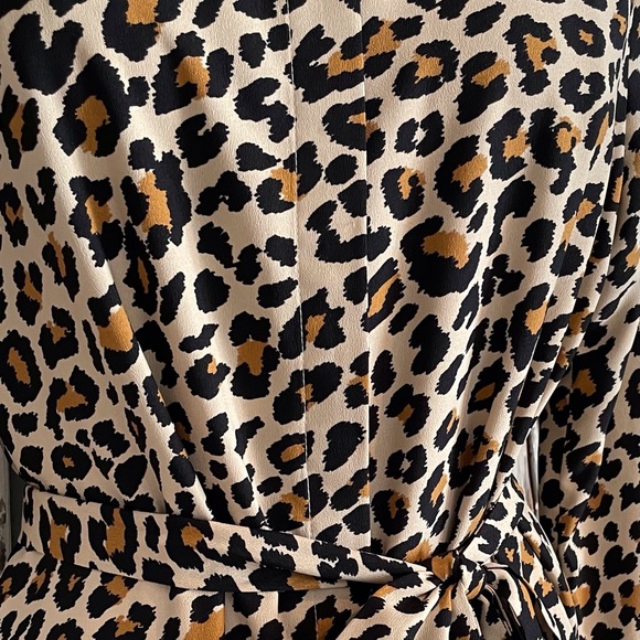 SCOOP Leopard Print Belted Dress - Picture 2 of 6